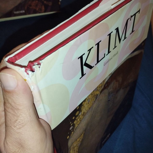Gustav Klimt The World in Female Form Hardcover book like new