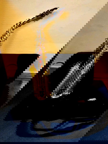 nea timi saxofono Sonata