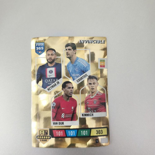 Panini Invincible 2023/24 sticker
