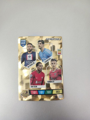 Panini Invincible 2023/24 sticker