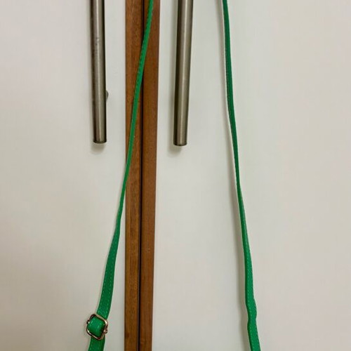 Italian leather crossbody bag green new