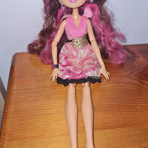 Ever After High Briar Beauty doll used with accessories