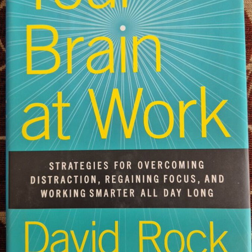 Your Brain at Work hardcover like new