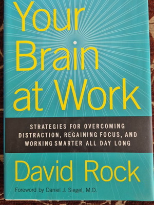 Your Brain at Work hardcover like new