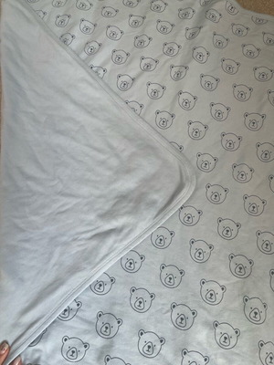 Spring blanket like new, blue with teddy bear design