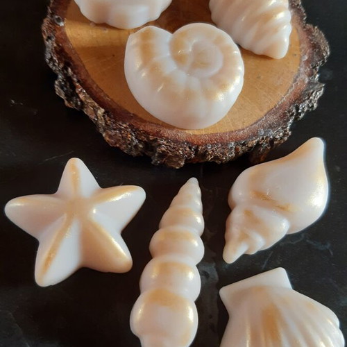 Seashells wax melts with citrus sea salt breeze scent, pack of 7