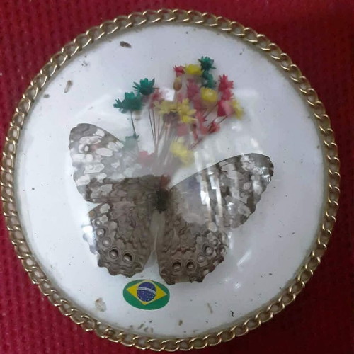 Vintage Jewelry Boxes Set of 2 with Real Butterflies from Brazil like new