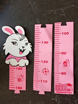 Children's room measuring ruler like new