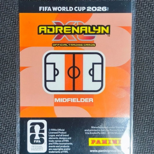 Martin Ødegaard Fan Favourite Panini Adrenalyn XL FIFA World Cup 2026 Card new