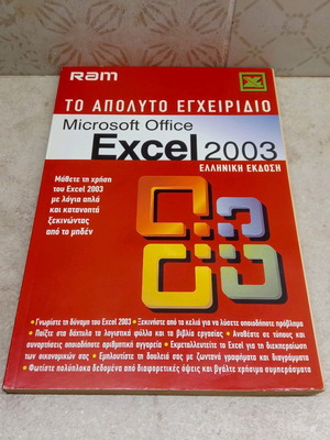 RAM: The Ultimate Microsoft Office Excel 2003 Guide used
