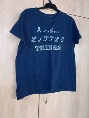 Hanes women's short-sleeve blouse medium blue like new