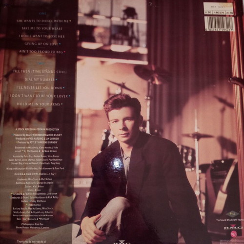 Rick Astley Hold Me In Your Arms vinyl like new, pop