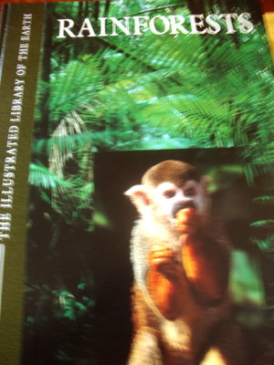 The Illustrated Rainforests καινούργιο βιβλίο