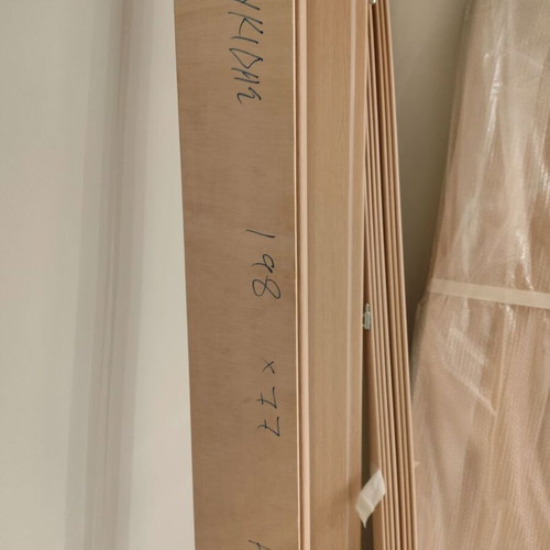 Door with frame new, left opening