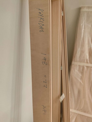 Door with frame new, left opening