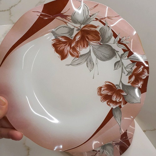 Set of 5 plates used
