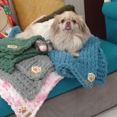 Handmade pet blanket with Alize Puffy yarn made to order, hypoallergenic