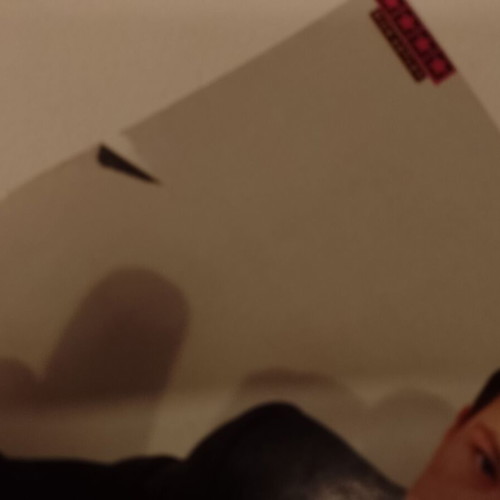 Elpida & Rick Astley poster used, Katerina magazine