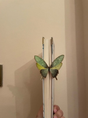 Bookmark hand-painted like new