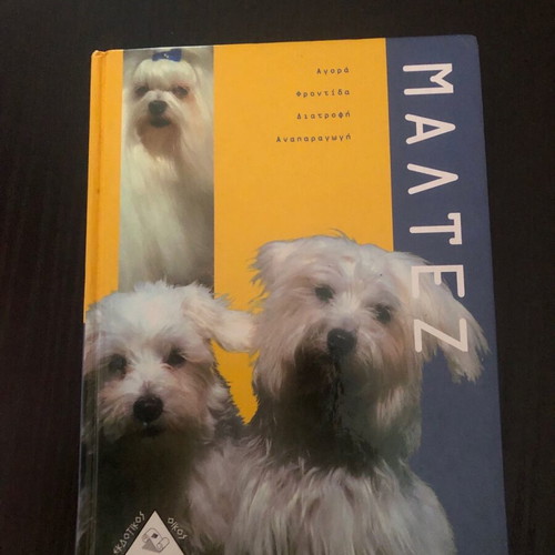 Maltese book used, all about Maltese dogs