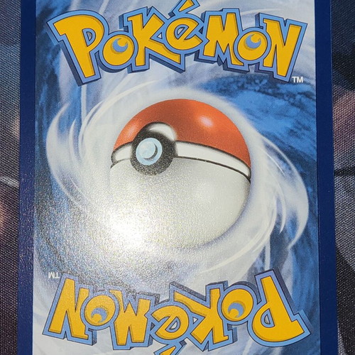 Lileep Illustration Rare Stellar Crown Pokemon card