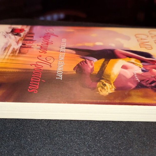 Unwilling Guardian book like new