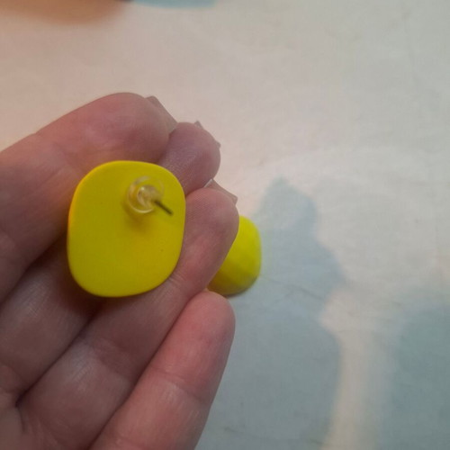 Summer earrings new, yellow