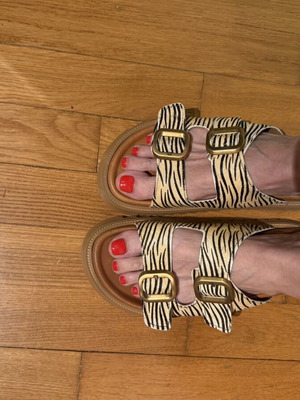 Mille Luci Zebra Platform Slides Like New Size 40