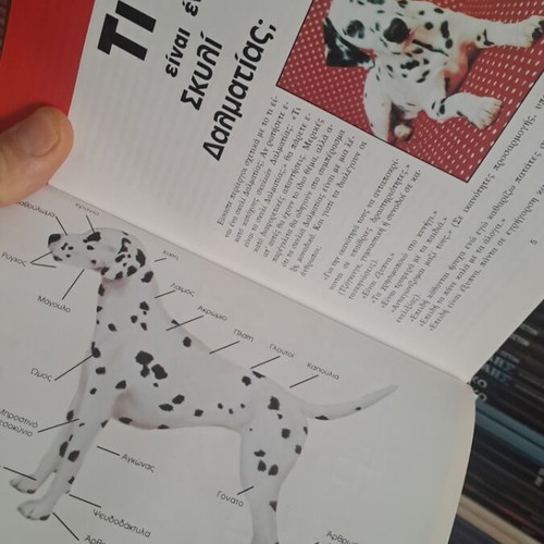 The Dalmatian used authentic book in excellent condition