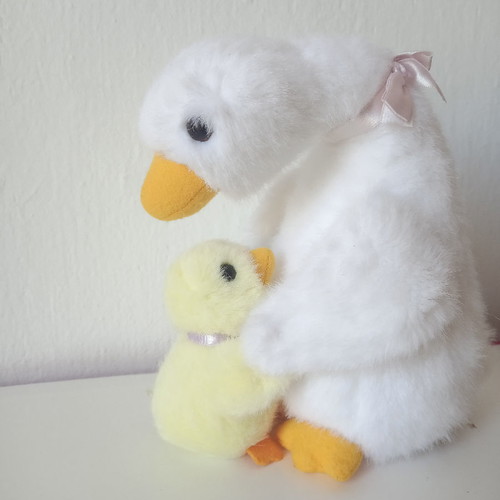 Ducks new set with large and small duck