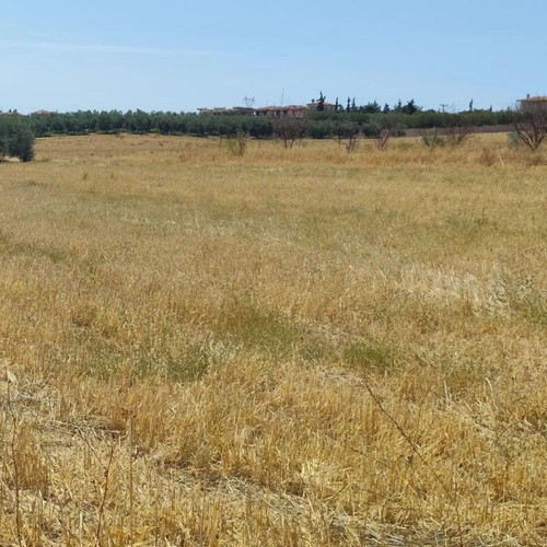 Land 1,816 sqm Halkidiki, Agios Mamas with view and access