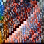  Abstracto set με kimono-pants