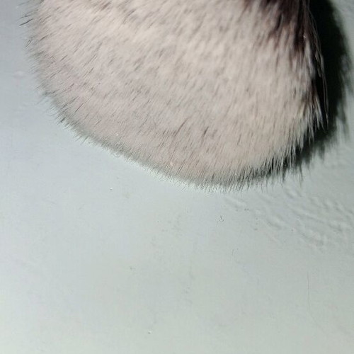 Sigma flat kabuki brush F80 new