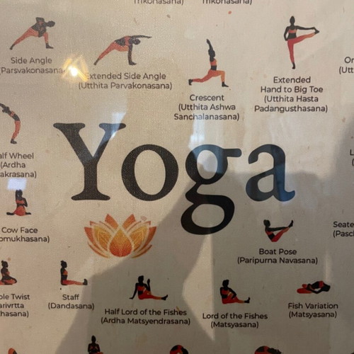 Canvas wall art with yoga theme new, sealed roll without frame