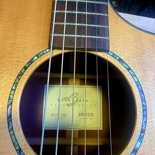 Breedlove electroacoustic guitar used with case