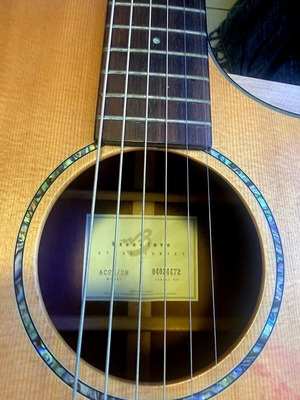 Breedlove electroacoustic guitar used with case