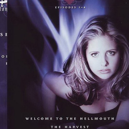 Buffy The Vampire Slayer Season 1 DVD used with subtitles