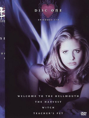Buffy The Vampire Slayer Season 1 DVD used with subtitles