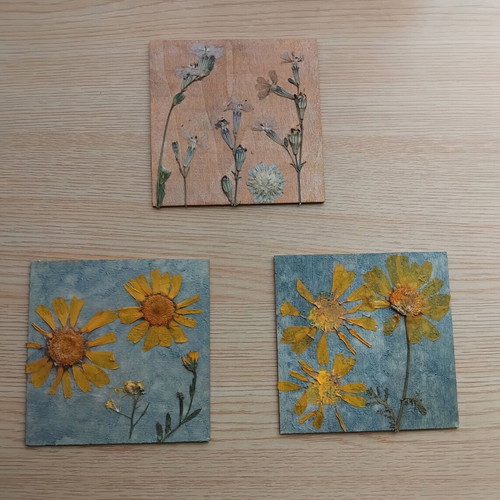 Set of 3 handmade frames with dried flowers new