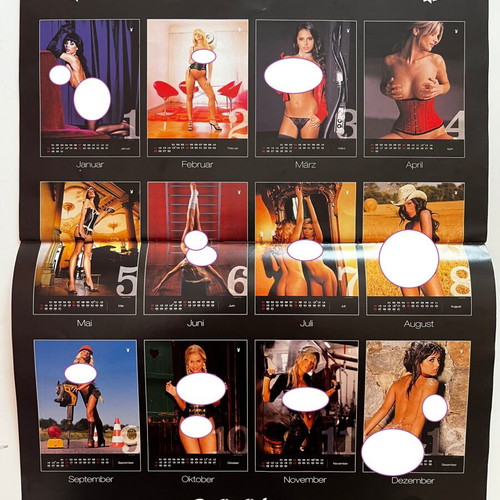 Playboy calendar 2007 used, German edition