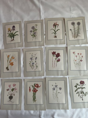 Rare Collectible Album Agrioloulouda Attikis used, complete set of 12 cards