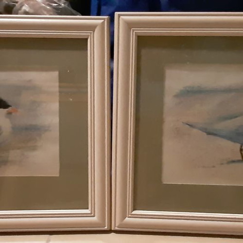 Bird paintings set of 2 new with wooden frames