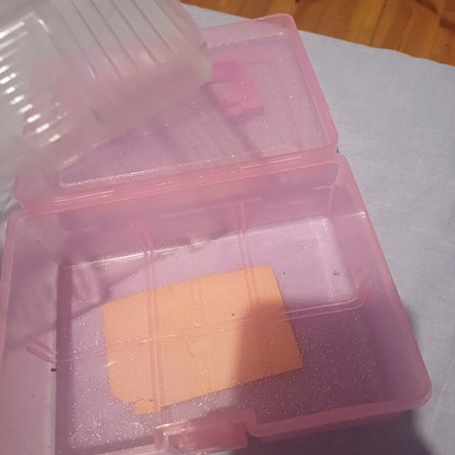 Barbie plastic vanity case, translucent pink with glitter