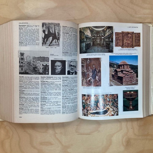 Petit Larousse dictionary used, French illustrated 1983
