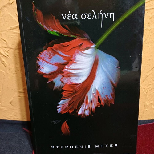 Book New Moon by Stephenie Meyer like new