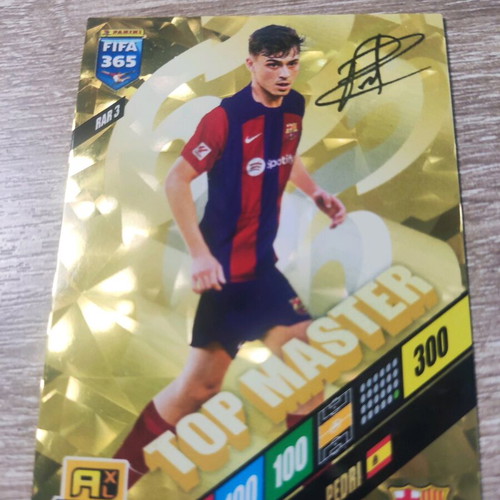 Panini collectible football card new, excellent