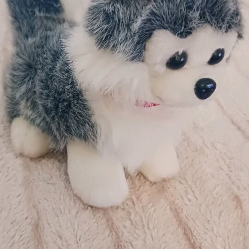 Plush toy new