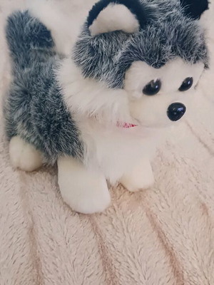 Plush toy new