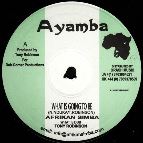 Afrikan Simba What Is Going To Be vinyl record used, reggae