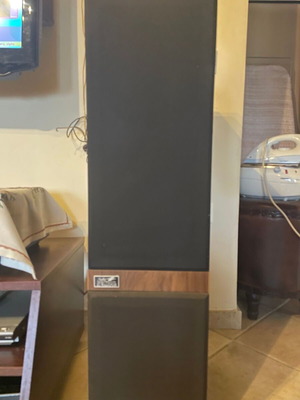 Ηχεία δαπέδου Audio Spectrum Athena ΙΙΙ σαν καινούργια
